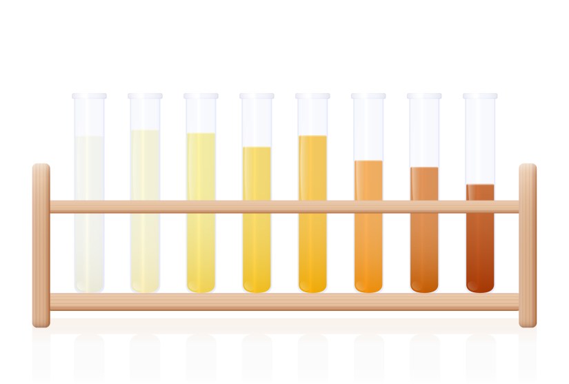 Can I check my hydration levels via my urine?