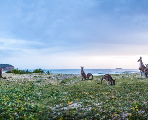 Xterra APAC Champs open for entry