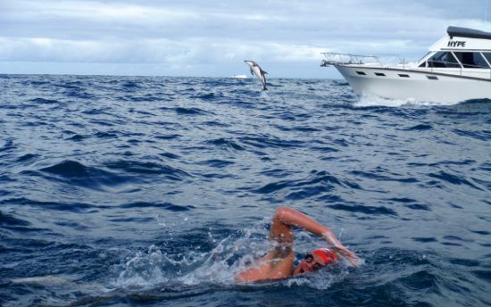 Blog: swimming with dolphins (and sharks) across the Cook Strait