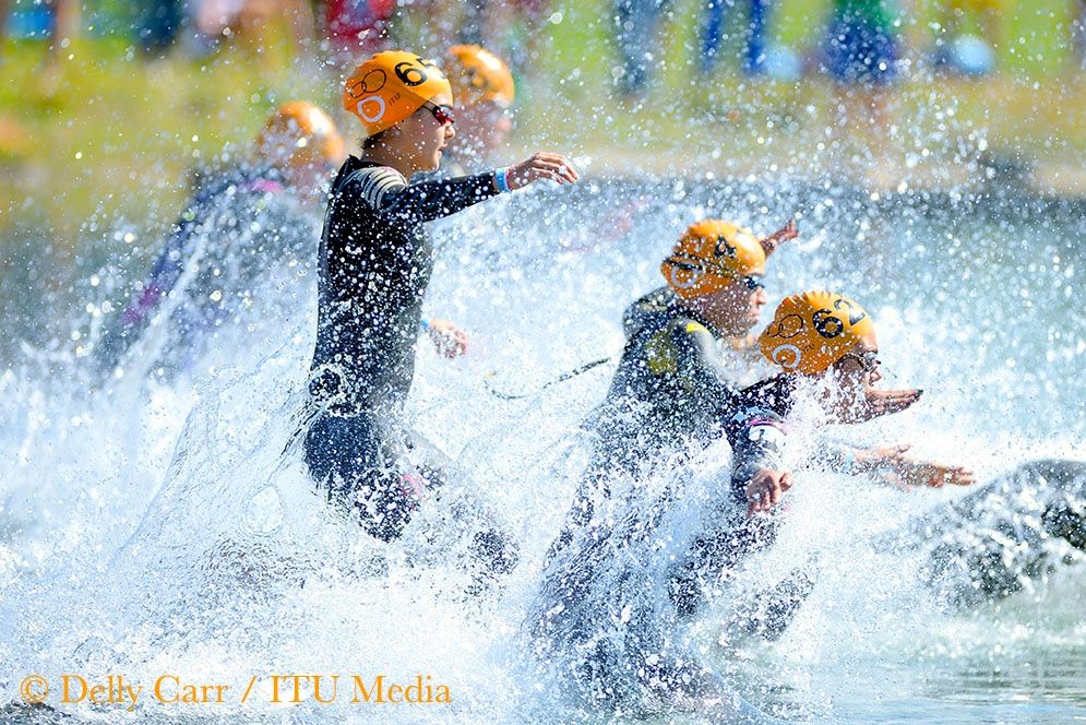 Athletes enter the water for the aquathlon world champs at 2014 WTS Grand Final in Edmonton, Canada