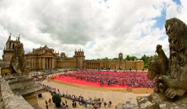 Cheep cheep – early bird tickets on sale for Blenheim Palace Tri