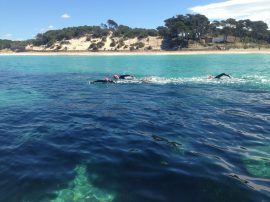 Master your first open-water triathlon – expert swim tips