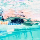 10 essential pool swim drills for triathletes