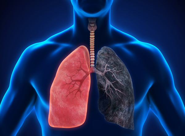 How does smoking affect your lungs?