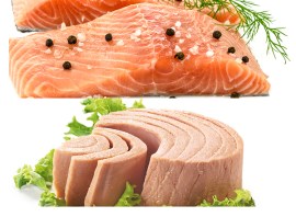 Tuna versus salmon: Which is best for you?