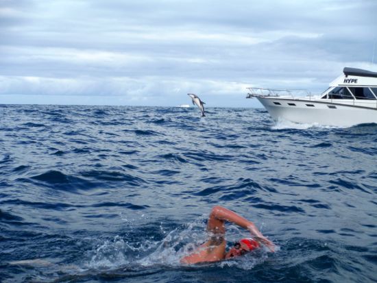 Adam Walker swims with dolphins