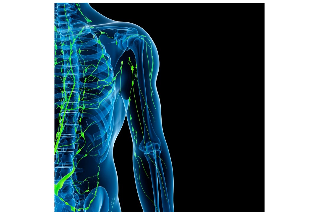 What is the lymphatic system and how can exercise affect it?