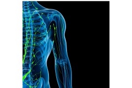 What is the lymphatic system and how does exercise affect it?