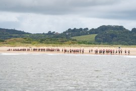 Breca Gower race report: the solo swimrun experience