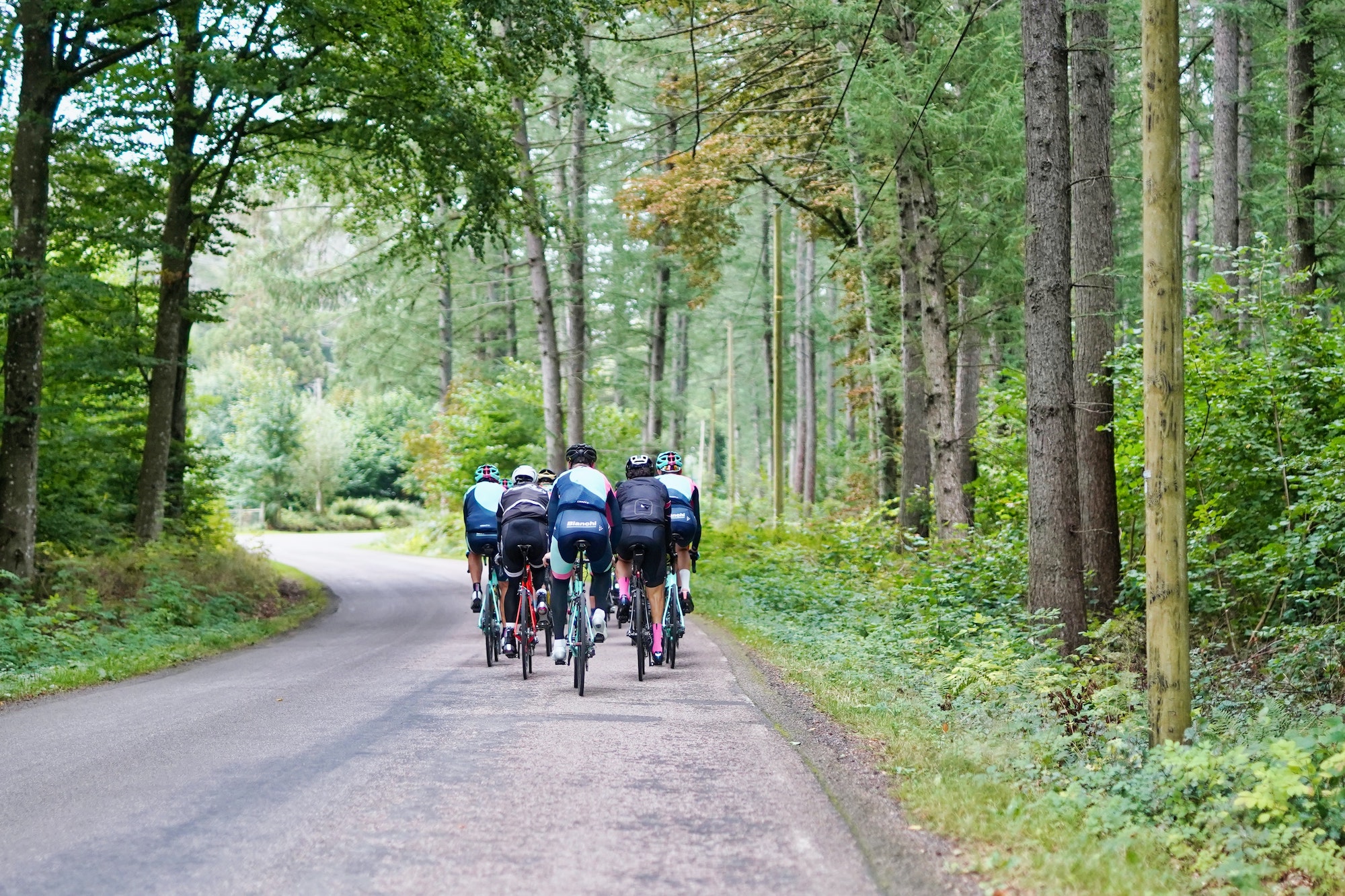 Group bike ride