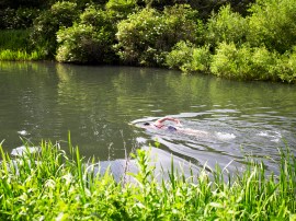 River swimming for beginners: how to swim in rivers