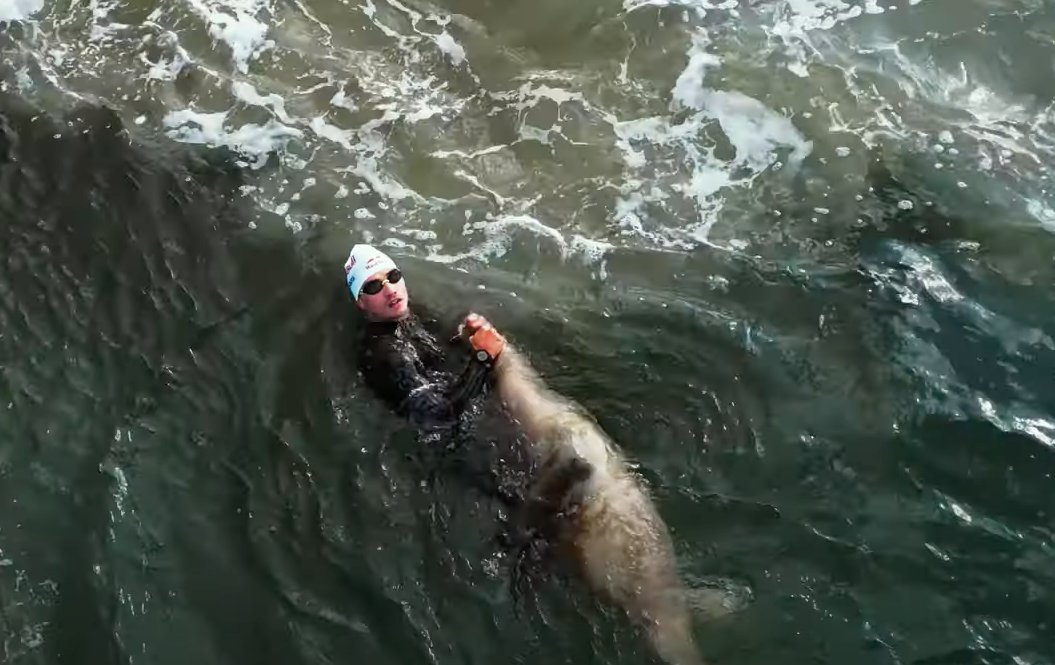 Pro triathlete bitten by seal