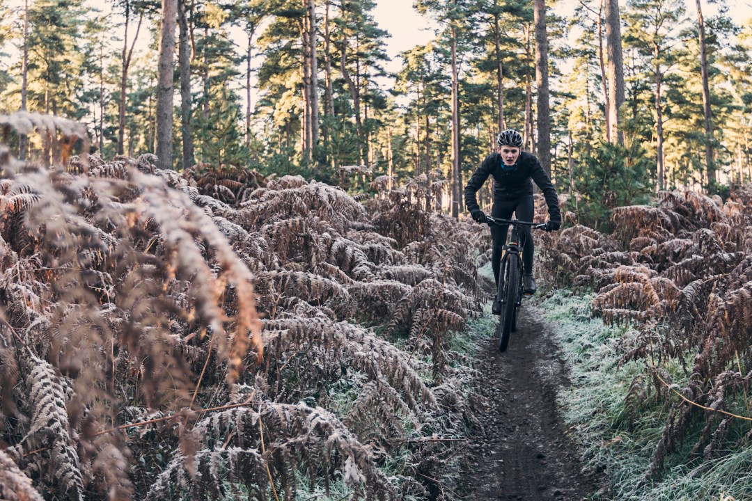 Young Man on Bike in Forest