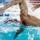 What’s the fastest swimming stroke?