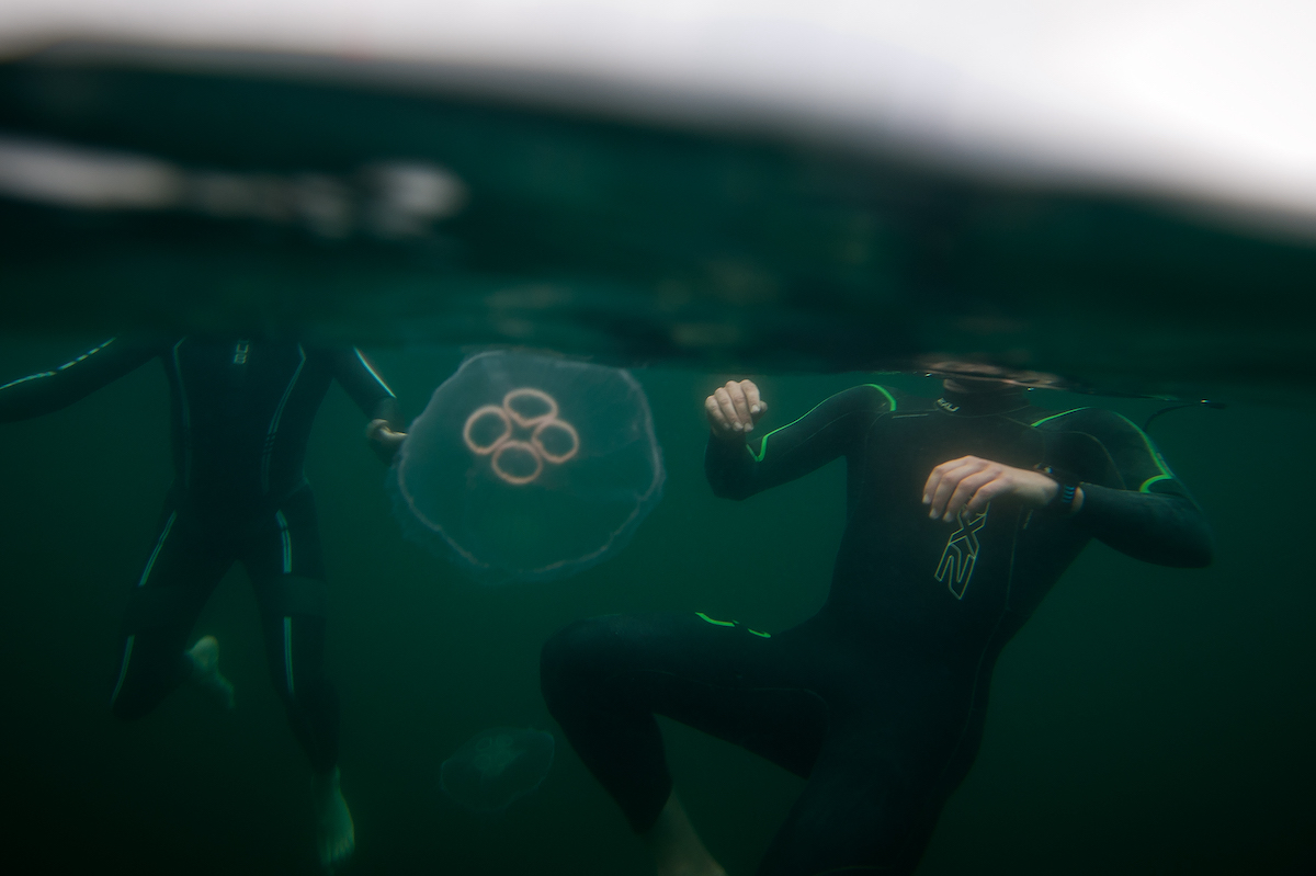 Swimmers and jellyfish in the Celtman Triathlon