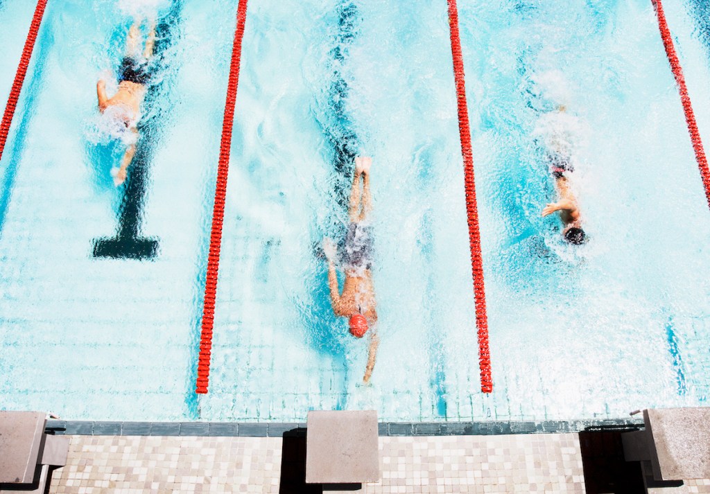 Three swimmers in the pool