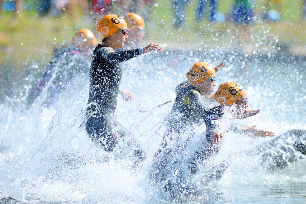 Athletes enter the water for the aquathlon world champs at the 2014 WTS Grand Final in Edmonton, Canada