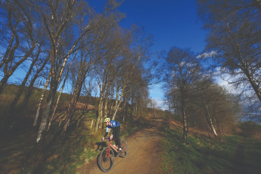 Man on gravel bike on a woodland trail