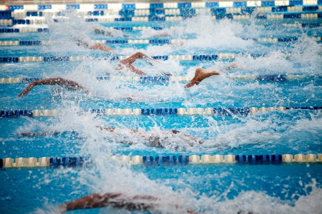 Swimmers in Olympic pool (competition)