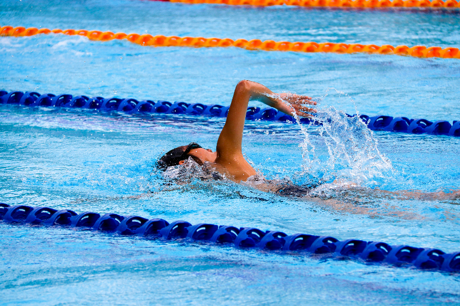 swimmer doing front crawl in swimming pool