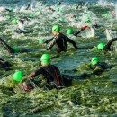 Free triathlon training plans for beginners