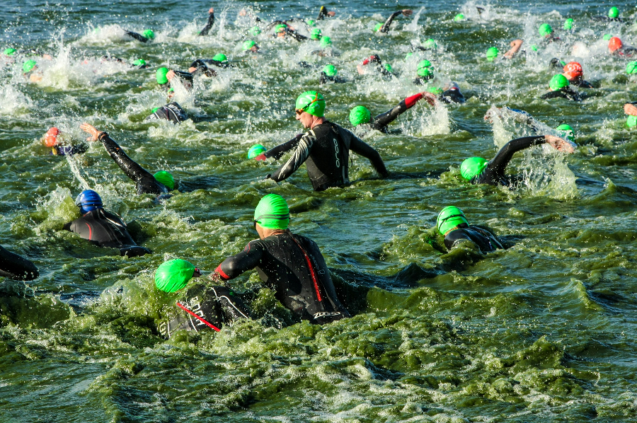 Group of swimmers in open water