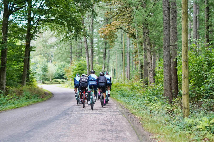 group of cyclists riding though forest